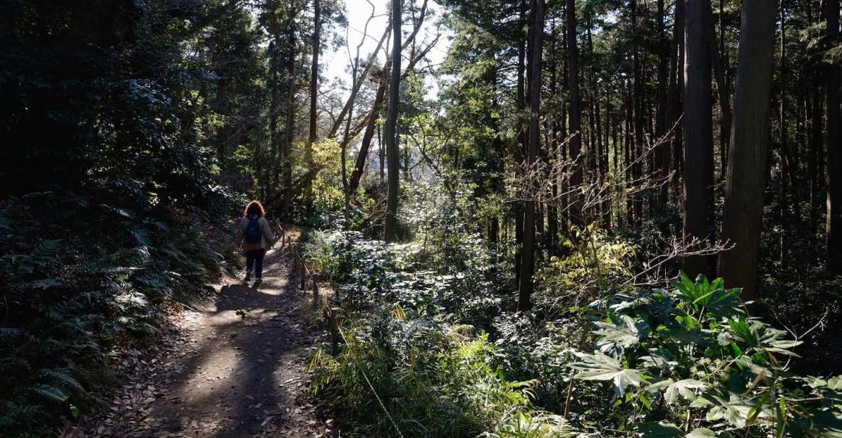 Kamakura: Daibutsu Hiking Trail Tour With Local Guide - Activity Description