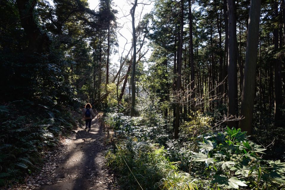 Kamakura: Daibutsu Hiking Trail Tour With Local Guide - Cancellation Policy