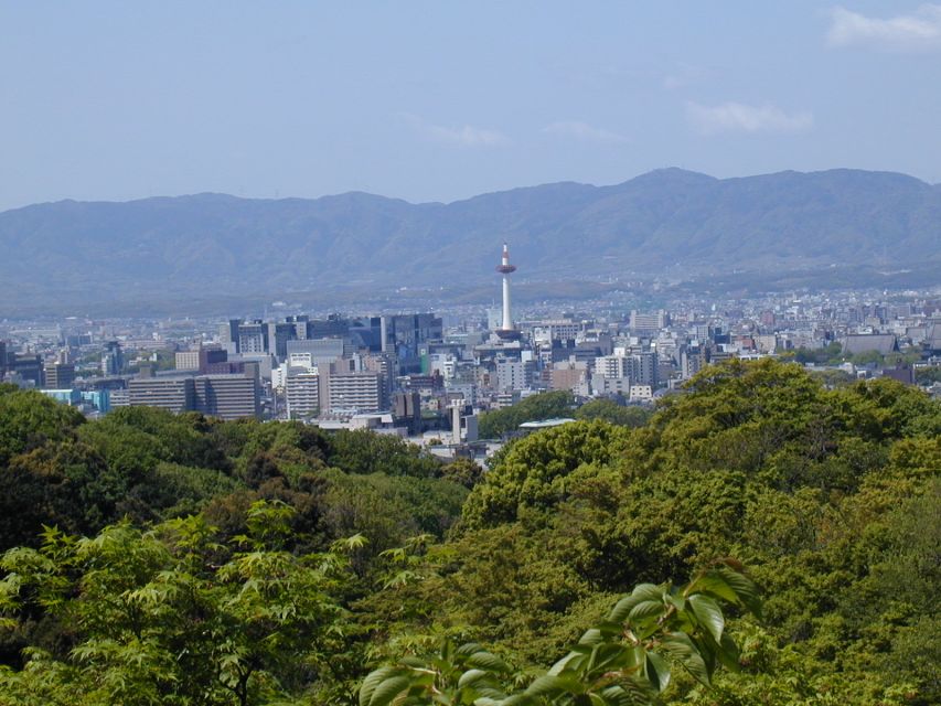 Kyoto: Private Tour With Local Licensed Guide - Key Takeaways