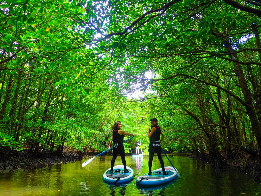 Iriomote Island: Kayaking and Canyoning Tour - Directions to Iriomote Island