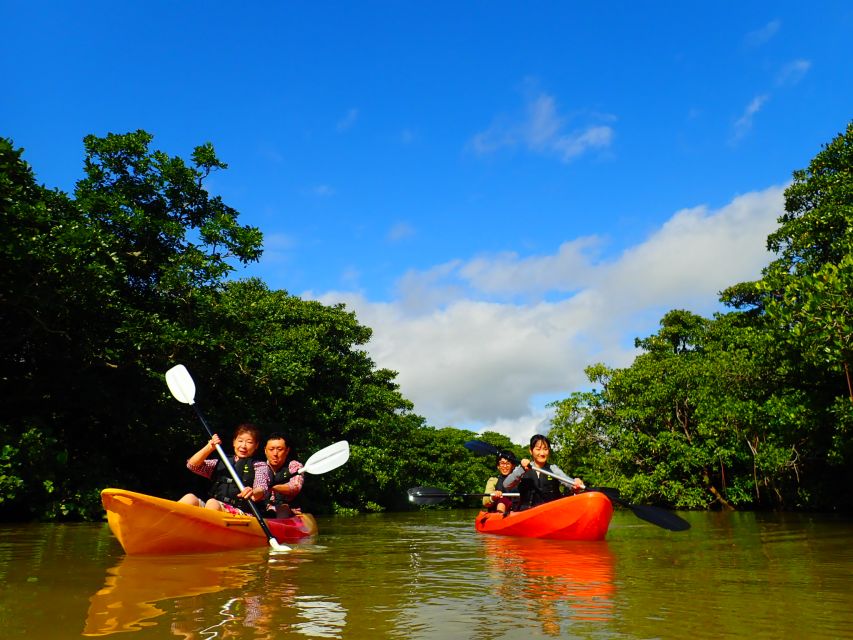 Ishigaki Island: 2-Hour Miyara River Kayaking Tour - Activity Description