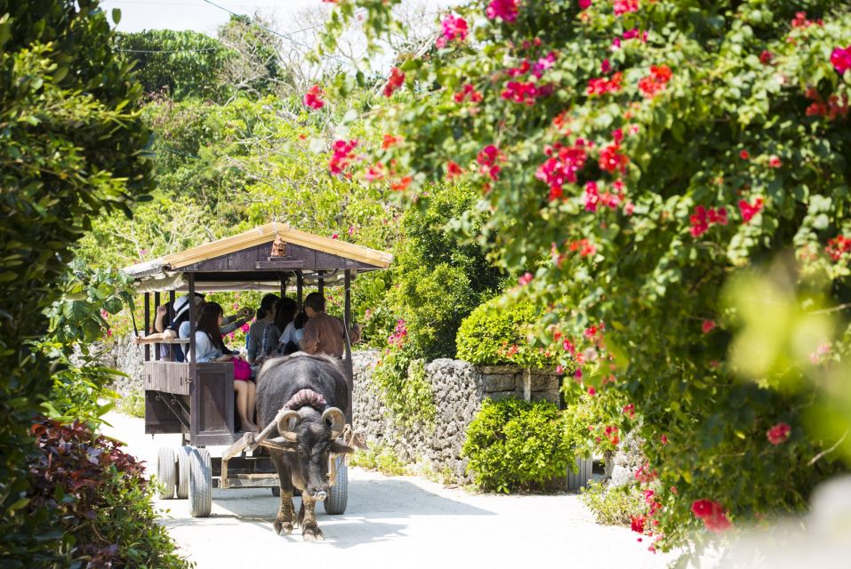 From Ishigaki: Hamajima and Taketomi Island Snorkel Trip - Frequently Asked Questions