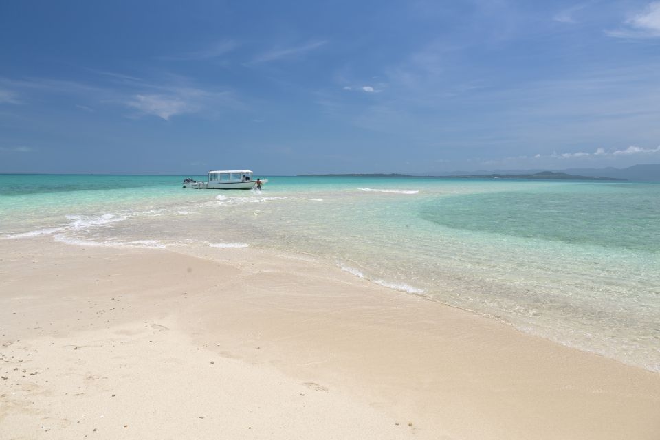 Ishigaki Island: Guided Tour to Hamajima With Snorkeling - Customer Review