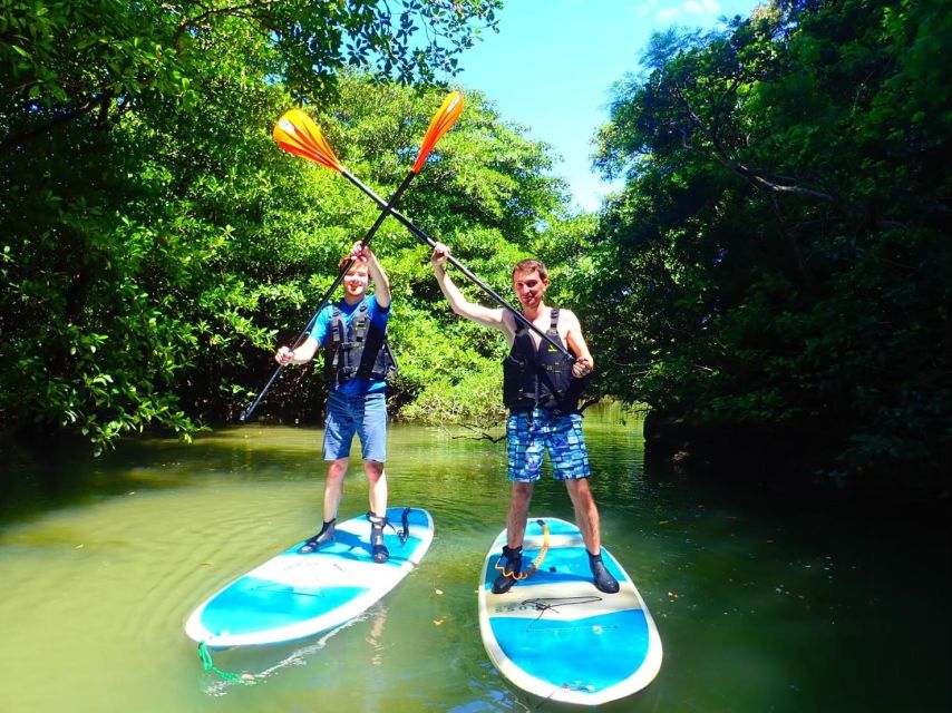 Ishigaki Island: SUP/Kayaking and Snorkeling at Blue Cave - Customer Reviews