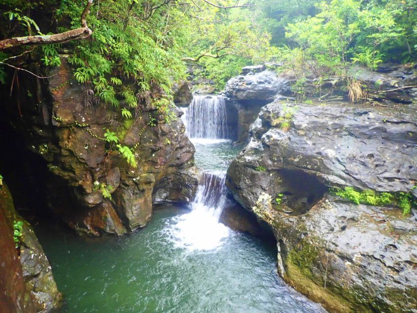 Iriomote Island: Guided 2-Hour Canyoning Tour - Tour Directions