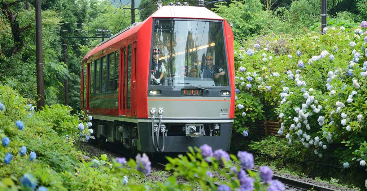 Hakone: Train Pass With Unlimited Rides & Activity Discounts - Features and Cancellation Policy