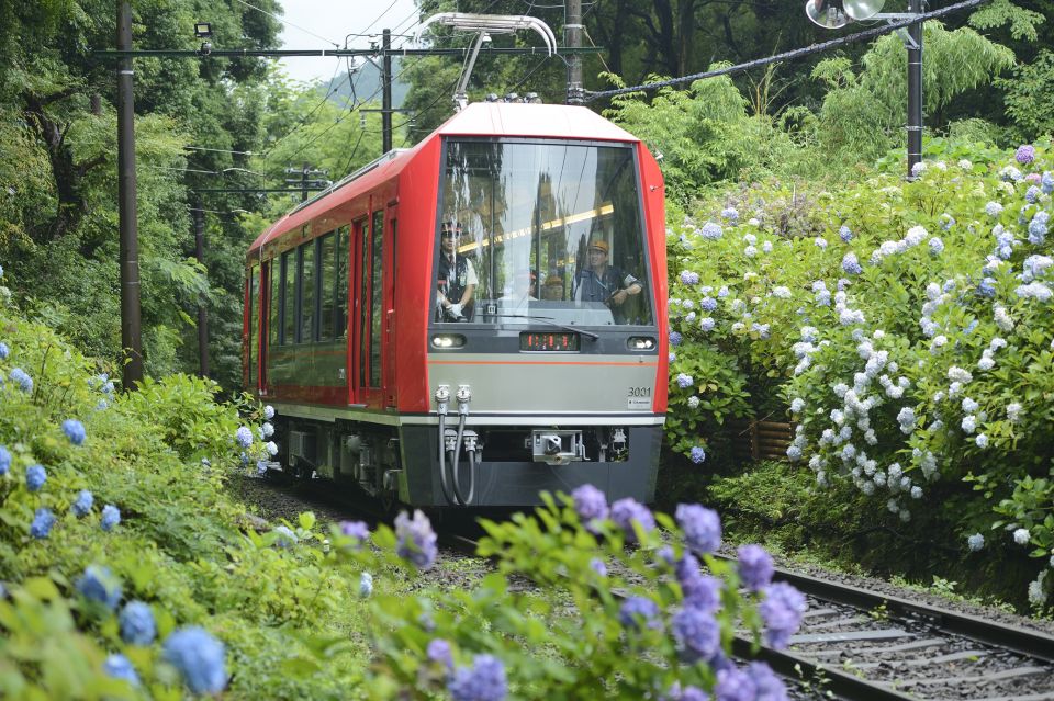 Hakone: Train Pass With Unlimited Rides & Activity Discounts - Accessibility and Activity Description