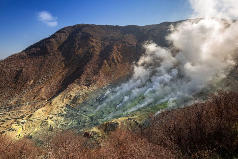 From Tokyo: Hakone and Owakudani Private Day Trip - Key Takeaways