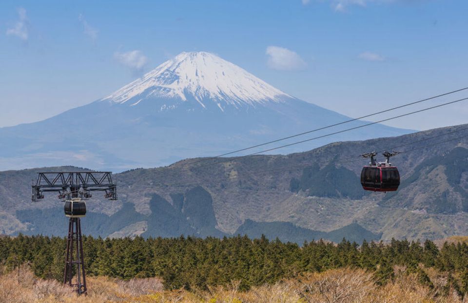 From Tokyo: Hakone and Owakudani Private Day Trip - Conclusion