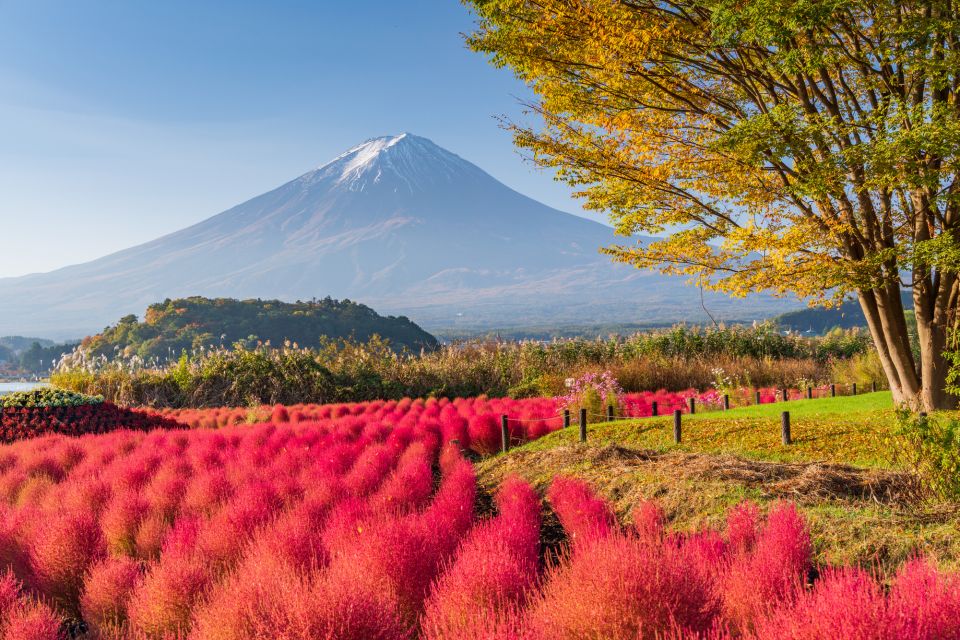 From Tokyo: Mount Fuji Highlights Private Day Tour - Inclusions