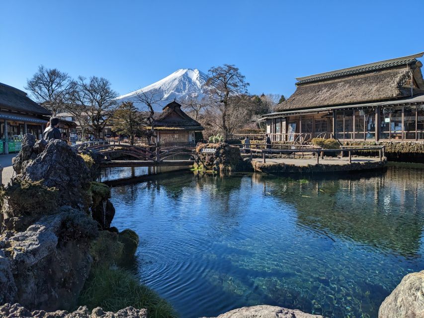 From Tokyo: Mount Fuji Highlights Private Day Tour - Customer Review