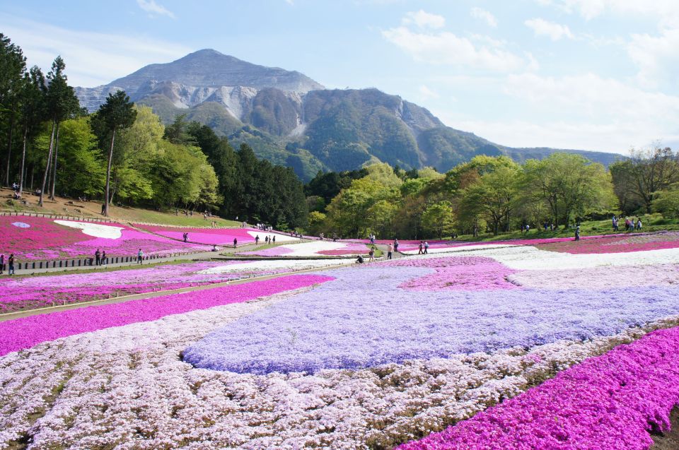 From Tokyo: Seibu Railway 1 Day Pass and Nagatoro - Directions