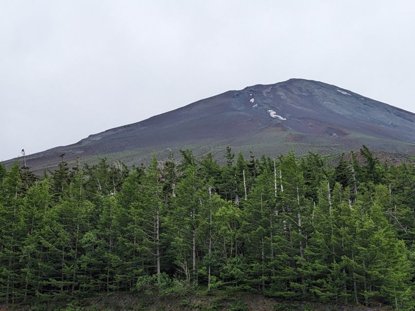 From Tokyo: Mt. Fuji & Hakone Tour W/ Return by Bullet Train - Meeting Point