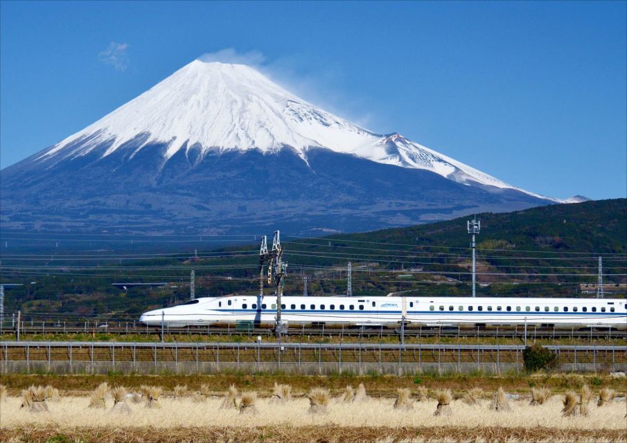 From Tokyo: Mt. Fuji & Hakone Tour W/ Return by Bullet Train - Tour Itinerary