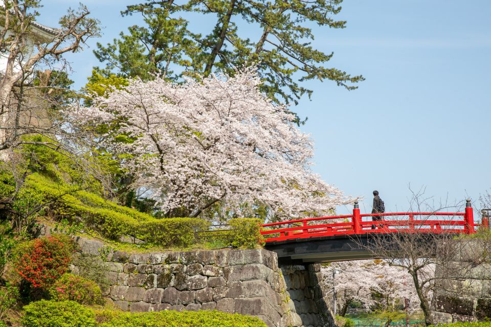 Odawara: Odawara Castle Tenshukaku Entrance Ticket - Cancellation Policy and Validity