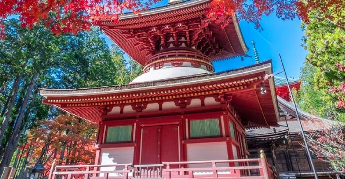 From Osaka: Mt. Koya Private Walking and Train Tour - Tour Inclusions