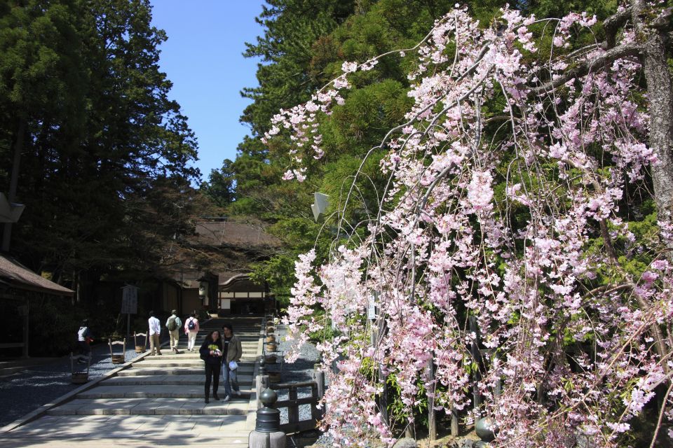 From Osaka: Mt. Koya Private Walking and Train Tour - Conclusion