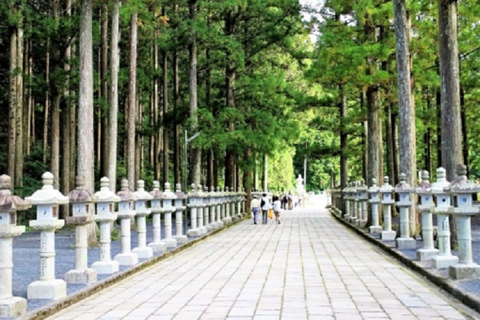 Koyasan: Mt. Koya Guided Private Walking Day Tour - Pricing and Duration