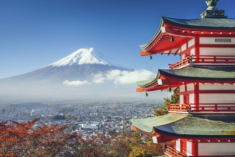 From Tokyo: Mount Fuji Private Day Tour - Customer Support