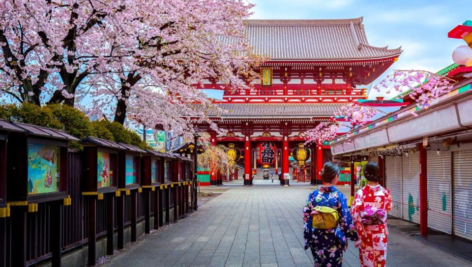 Tokyo: Full Day Private Walking Tour With a Guide - Inclusions