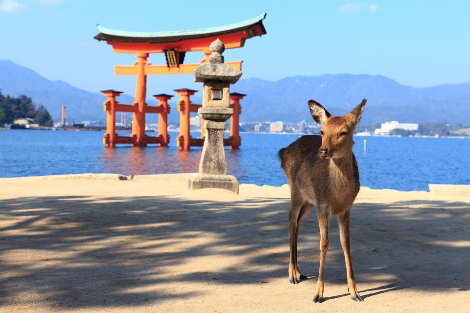 From Hiroshima: Hiroshima and Miyajima Island 1-Day Bus Tour - Inclusions