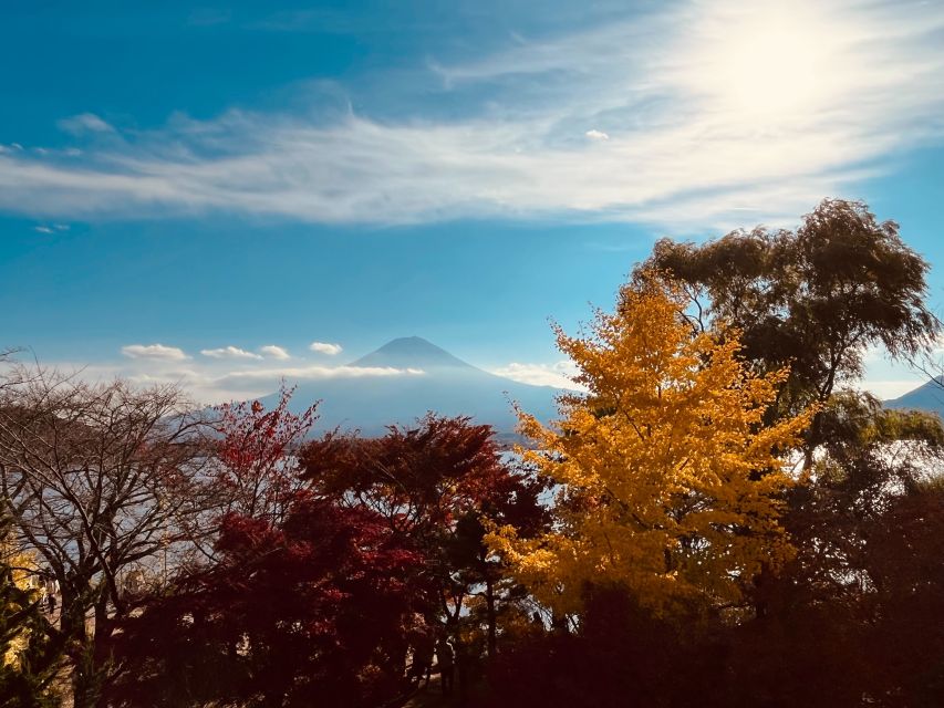 Shinjuku: Mount Fuji Panoramic View and Shopping Day Tour - Itinerary Highlights