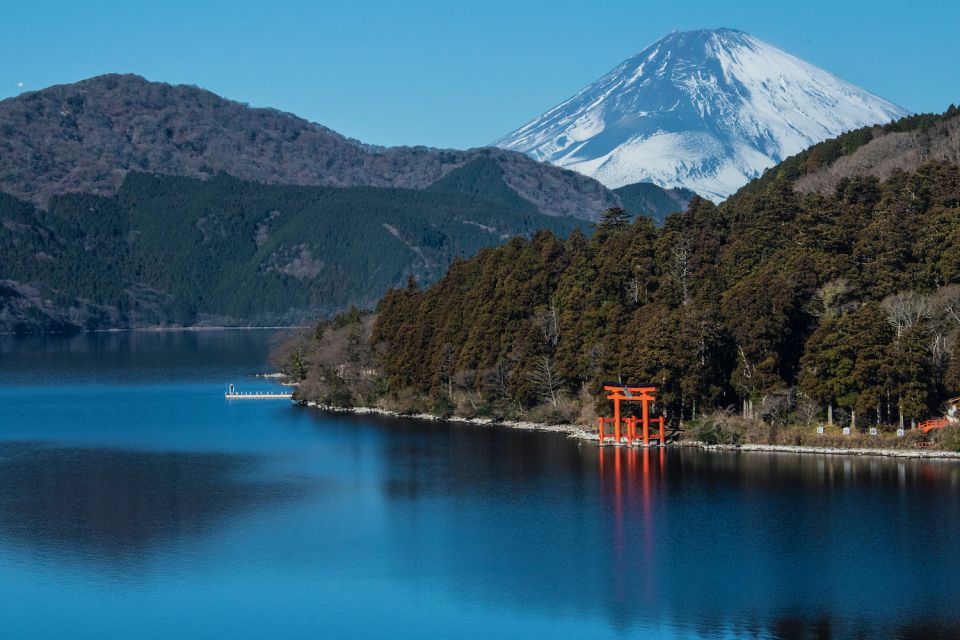 From Tokyo: Hakone Private Sightseeing Day Trip - Customer Reviews