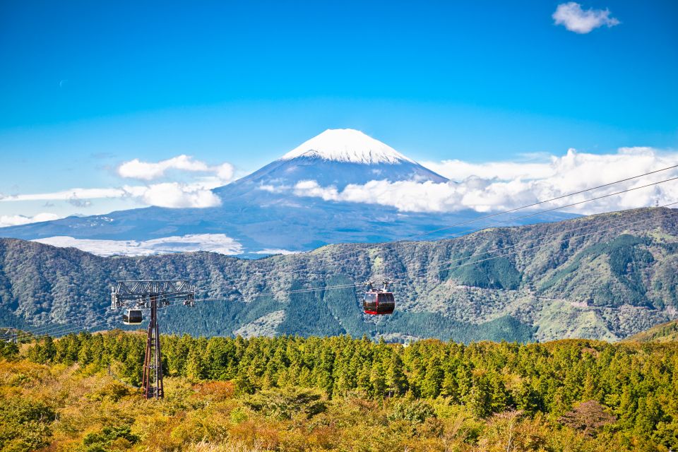 From Tokyo: Private Day Trip to Hakone With Lake Ashi Cruise - Key Features