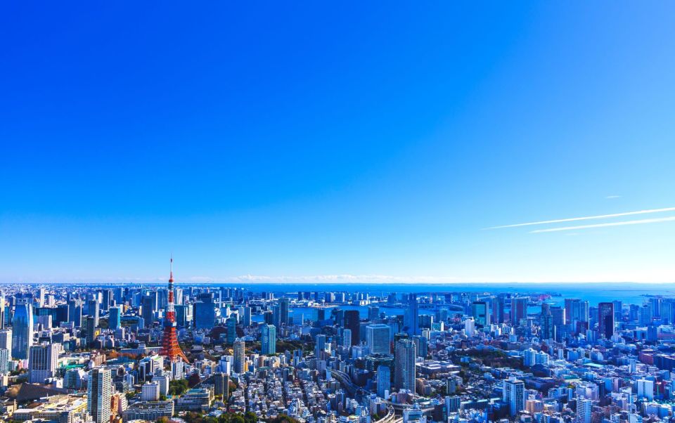 Tokyo: Guided Helicopter Ride With Mount Fuji Option - Price Options and Duration