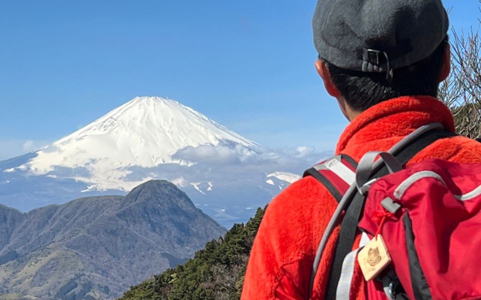 Hakone: Traverse the Hakone Caldera and Enjoy Onsen - Itinerary