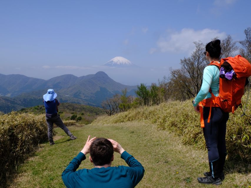 Hakone: Traverse the Hakone Caldera and Enjoy Onsen - Key Takeaways