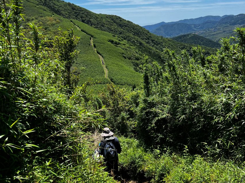 Hakone: Traverse the Hakone Caldera and Enjoy Onsen - Conclusion