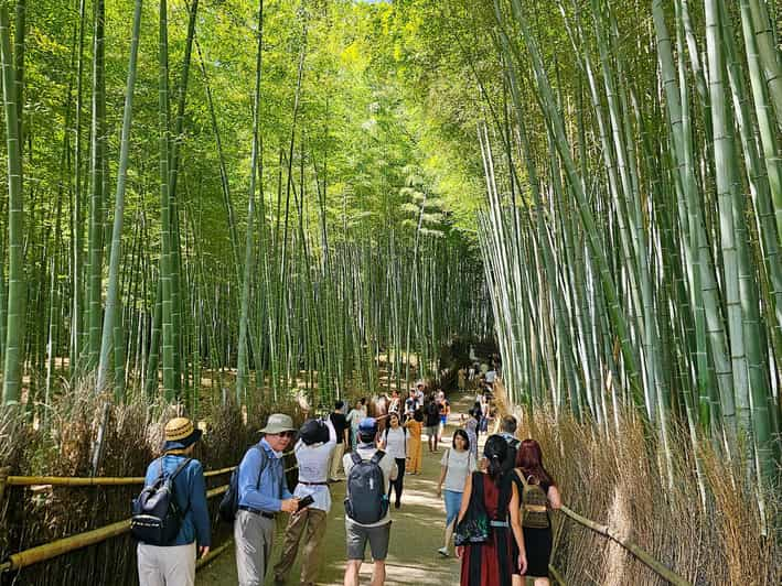 Kyoto: Arashiyama Bamboo Grove 3-Hour Guided Tour - Booking Information