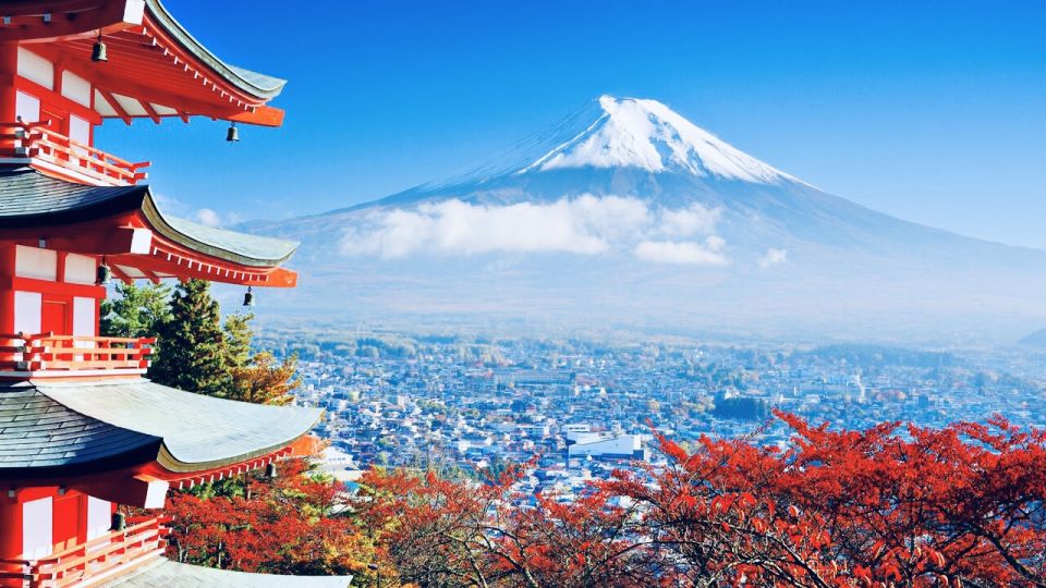 From Tokyo: Mount Fuji and Hakone Private Day Trip - Important Information