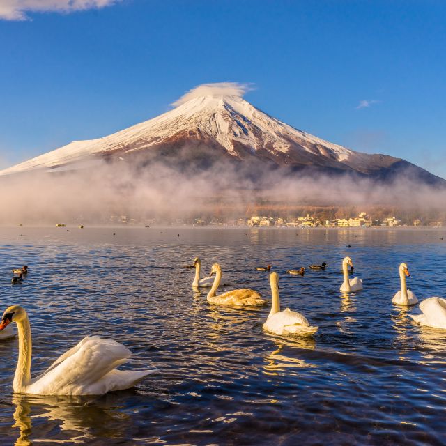 From Tokyo: Mount Fuji and Hakone Private Day Trip - Inclusions