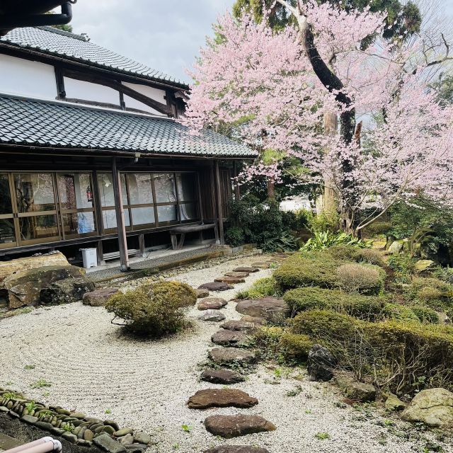 Silence Retreat at a Temple With English Speaking Monk - Personalized Itineraries