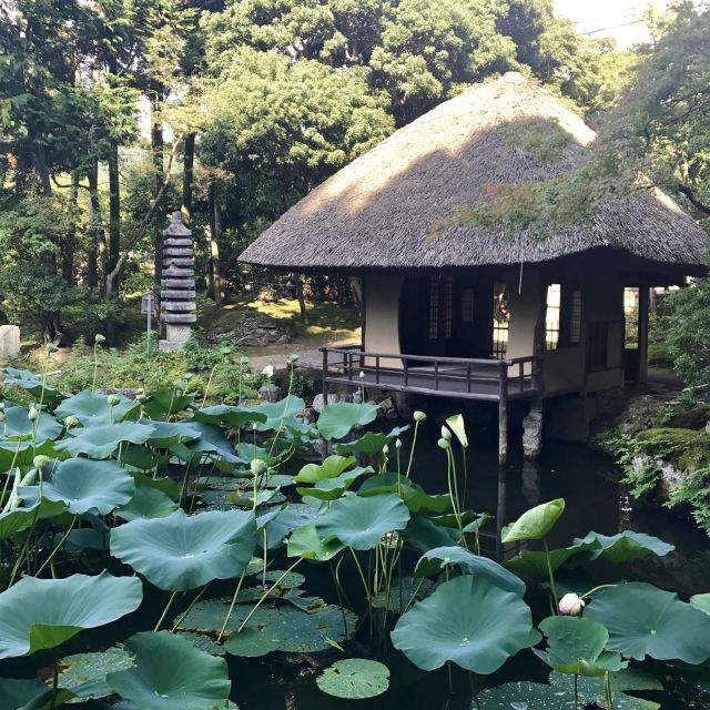 Kyoto: Tea Ceremony in a Japanese Painters Garden - The Tea Ceremony Experience