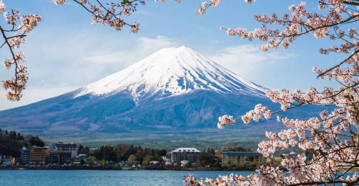 From Tokyo: 10-hour Mount Fuji Private Customizable Tour - Customer Reviews