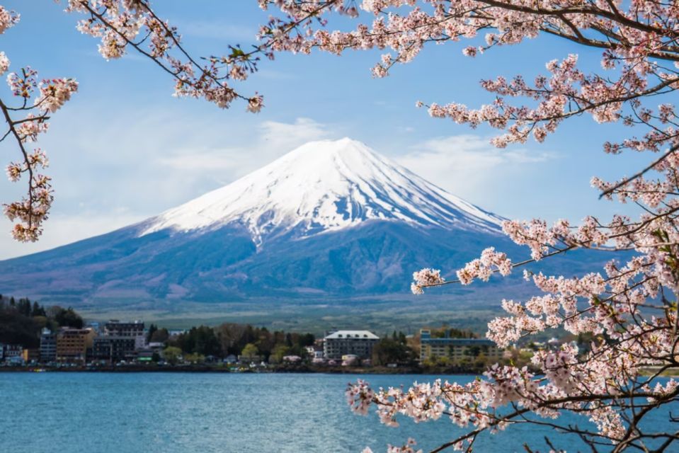 From Tokyo: 10-hour Mount Fuji Private Customizable Tour - Frequently Asked Questions