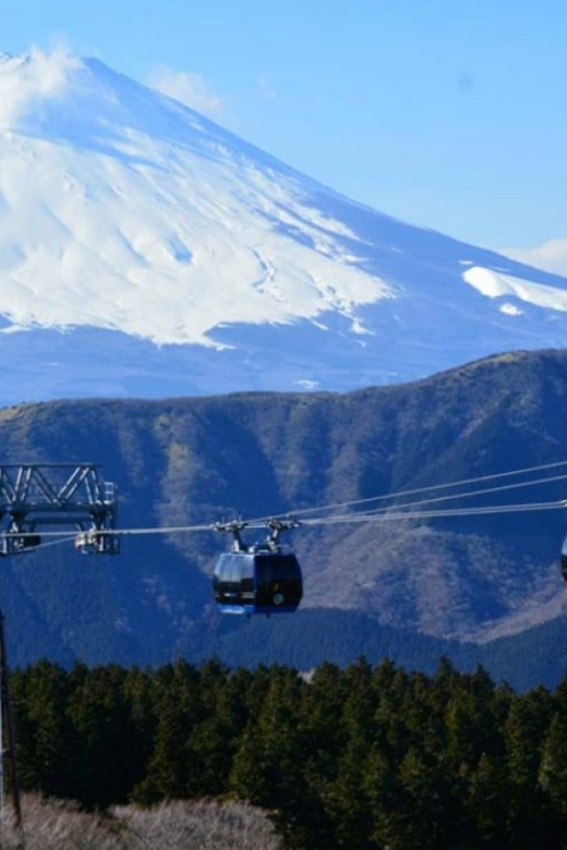 From Tokyo: 10-hour Hakone Private Custom Tour - Tour Highlights