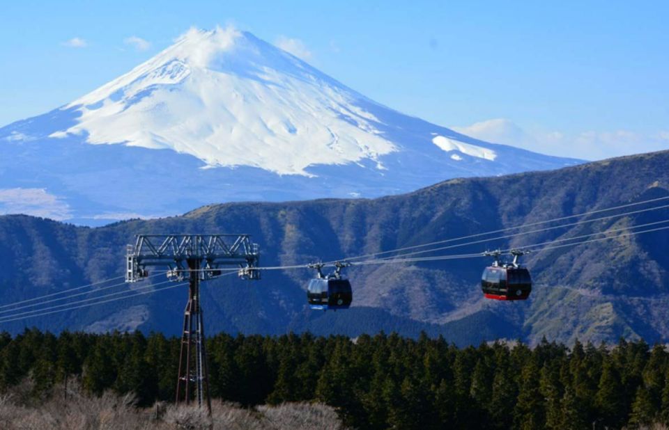 From Tokyo: 10-hour Hakone Private Custom Tour - Key Takeaways