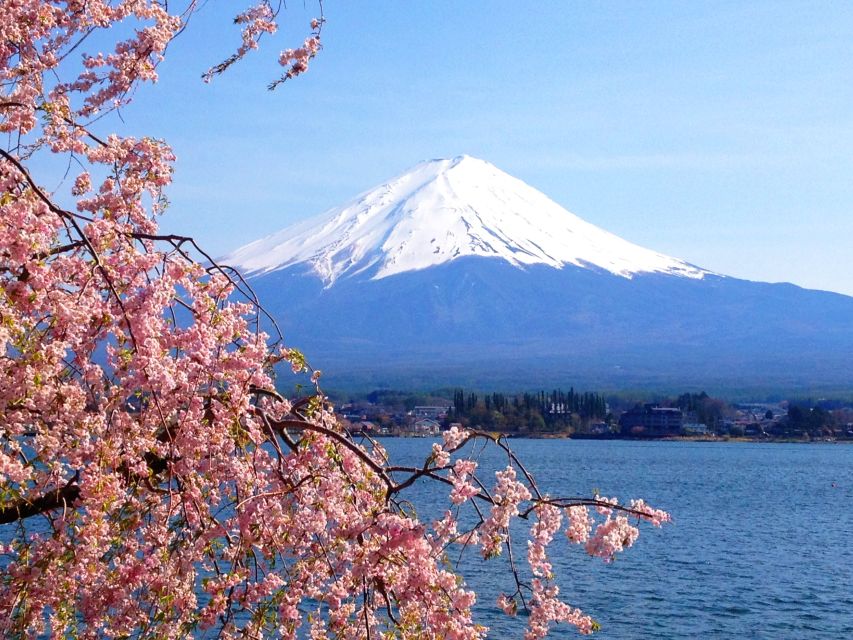 From Tokyo: Mt. Fuji or Hakone Private Sightseeing Day Trip - Reviews and Recommendations