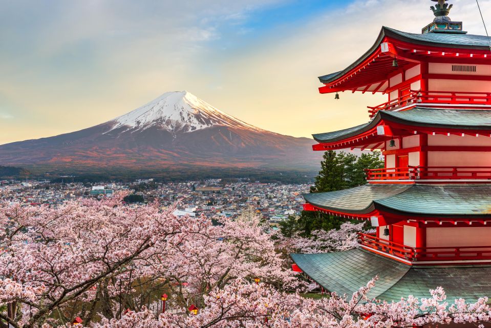 From Tokyo: Mt. Fuji or Hakone Private Sightseeing Day Trip - Key Takeaways