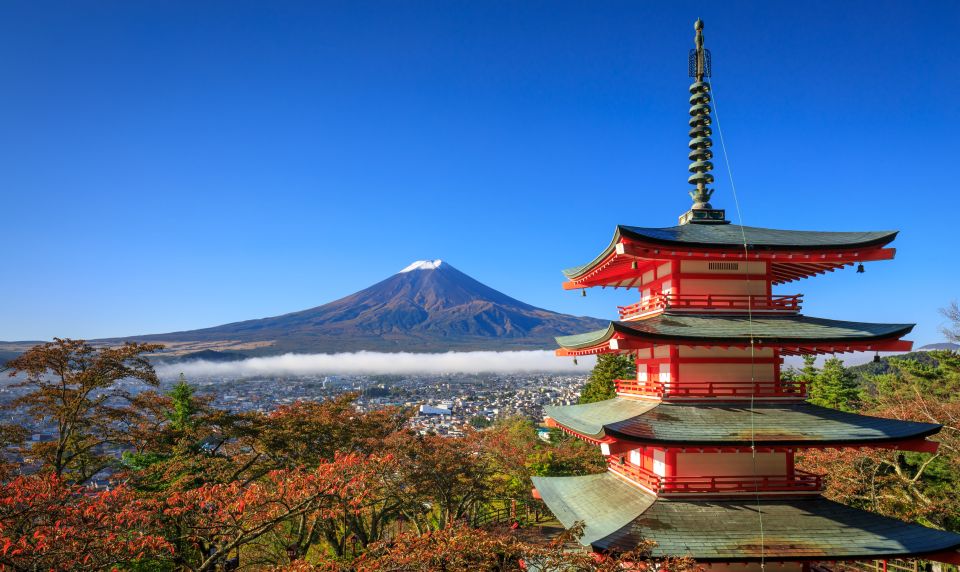 From Tokyo: Mt. Fuji or Hakone Private Sightseeing Day Trip - Itinerary Options