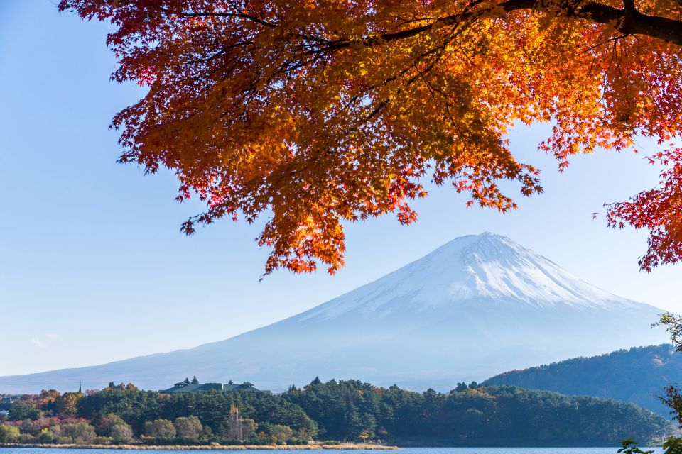 From Tokyo: Mt. Fuji or Hakone Private Sightseeing Day Trip - Conclusion