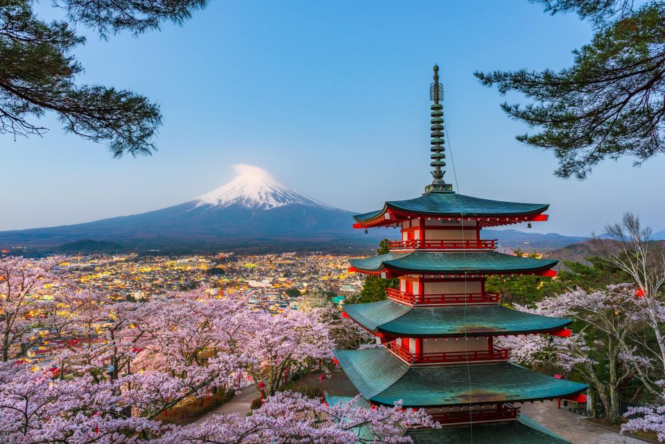 From Tokyo: Mt. Fuji or Hakone Private Sightseeing Day Trip - Booking and Reservations