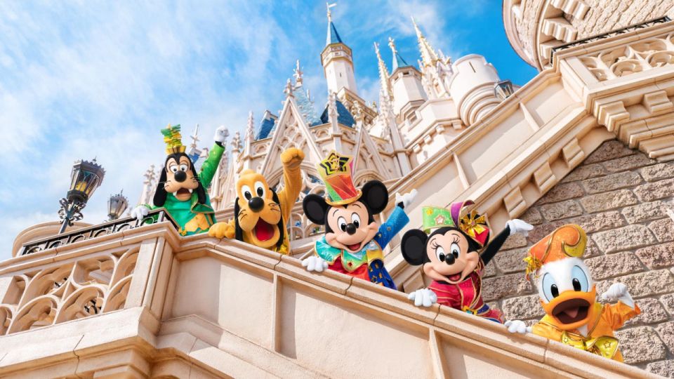 Tokyo Disneyland: 1-Day Entry Ticket and Private Transfer - Private Transfer Experience