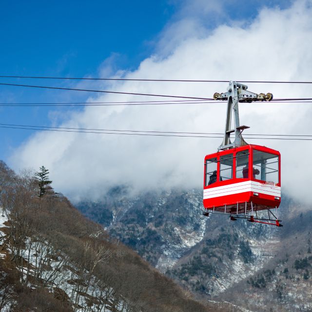 From Tokyo: Nikko World Heritage Private Tour by Car and Van - Language Options