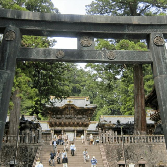 From Tokyo: Nikko World Heritage Private Tour by Car and Van - Customer Reviews