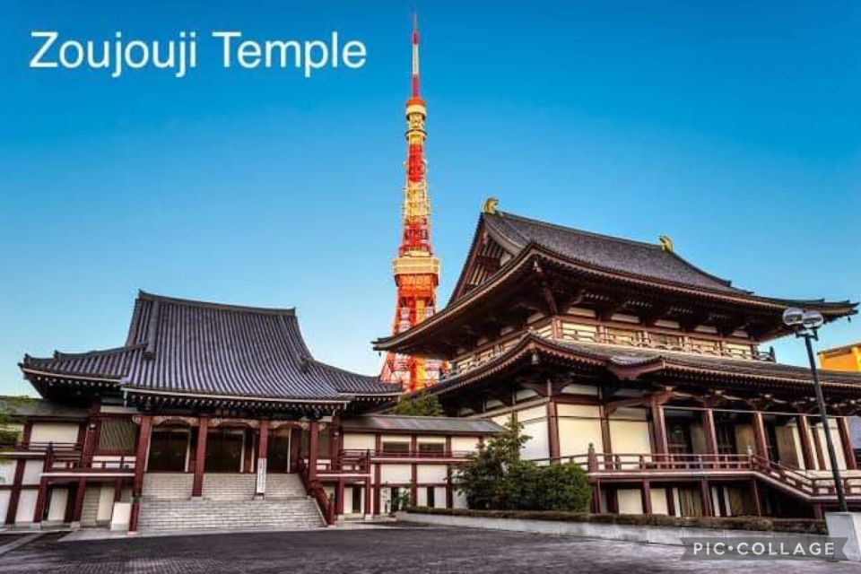 Tokyo: Private Full Day Sightseeing Tour - Customer Reviews and Recommendations